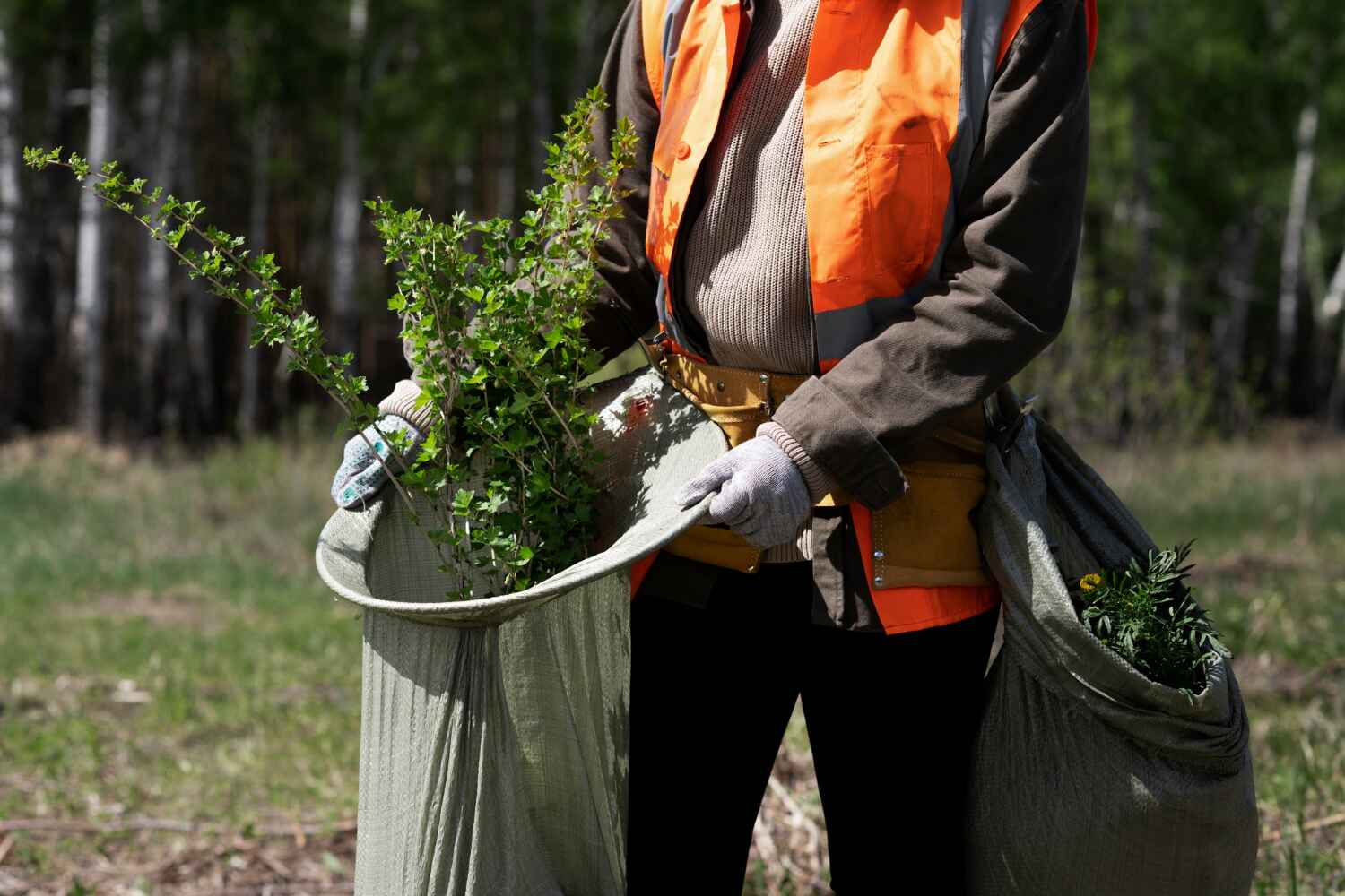 Best Tree Stump Removal  in Oak Ridge, FL